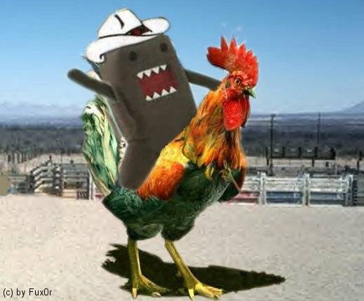 rodeodomo