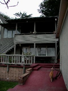 From Back Yard